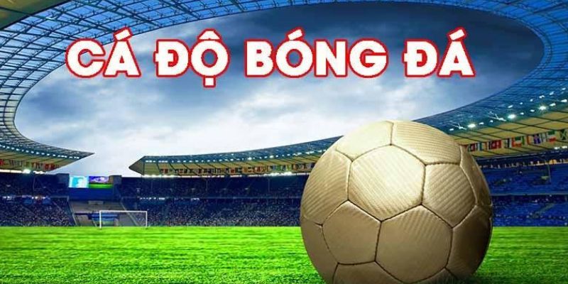 Cá cược thể thao tại Mana88