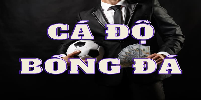 Giới thiệu Bongvip